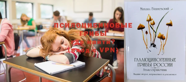 дживик Осинники