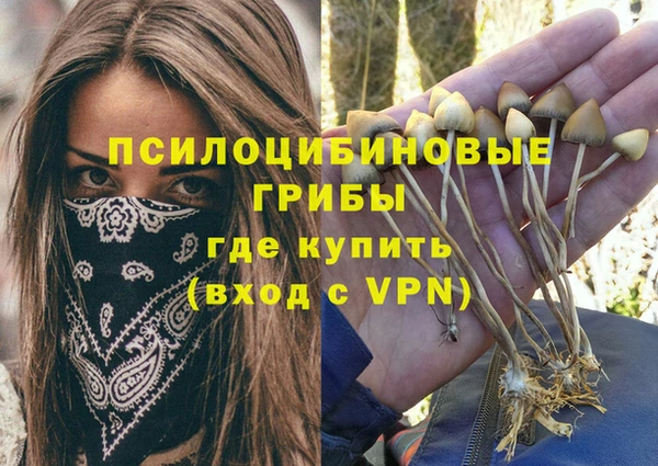 mdma Грязовец