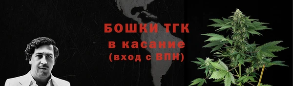 дживик Осинники