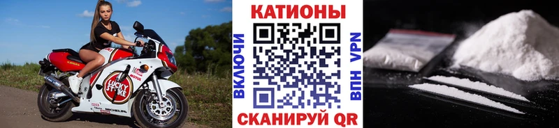МЯУ-МЯУ VHQ  сколько стоит  Медынь 